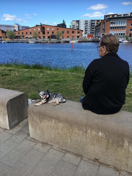 Klicka för att se förhandsgranska